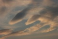 04007 020a.jpg
